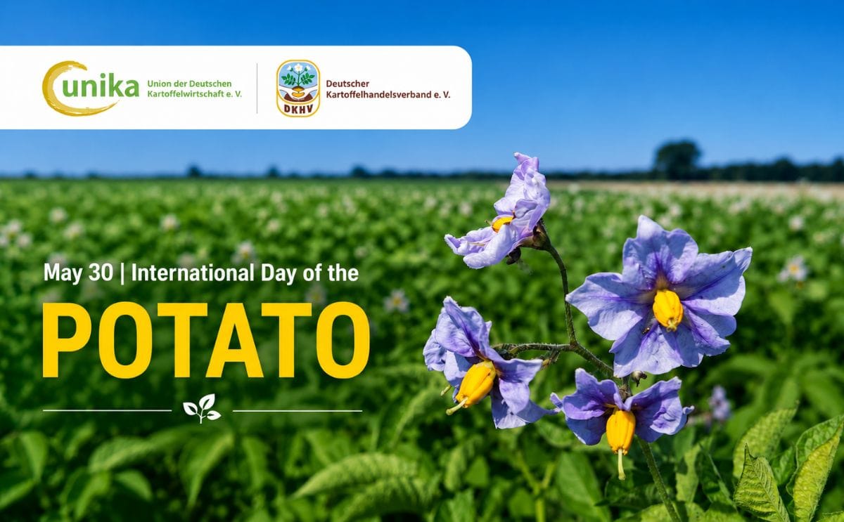 The International Day of the Potato highlighted the importance of potatoes for food security, agricultural sustainability, economic value and culinary diversity across Germany and Europe. The International Day of the Potato highlighted the importance of potatoes for food security, agricultural sustainability, economic value and culinary diversity across Germany and Europe.