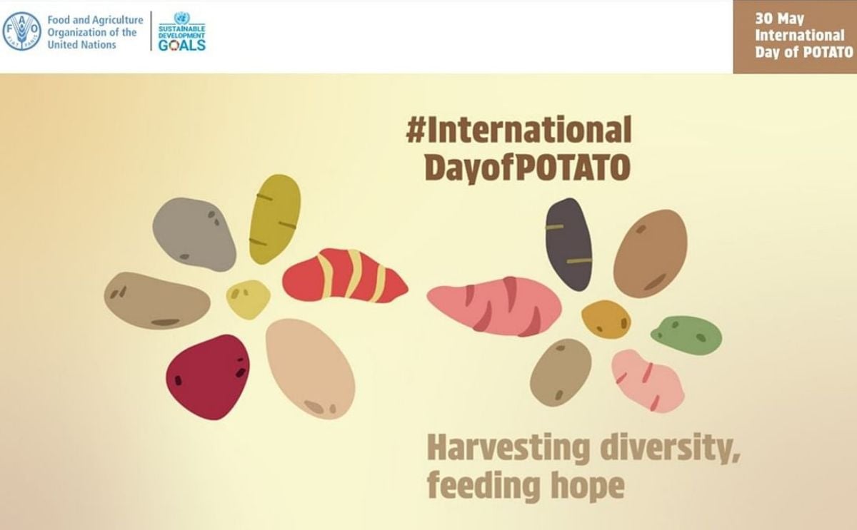 International Day of Potato 2025: Shaping history, feeding the future. International Day of Potato 2025: Shaping history, feeding the future.