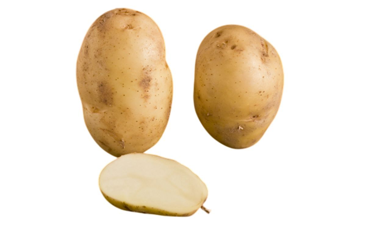 INTERNATIONAL KIDNEY