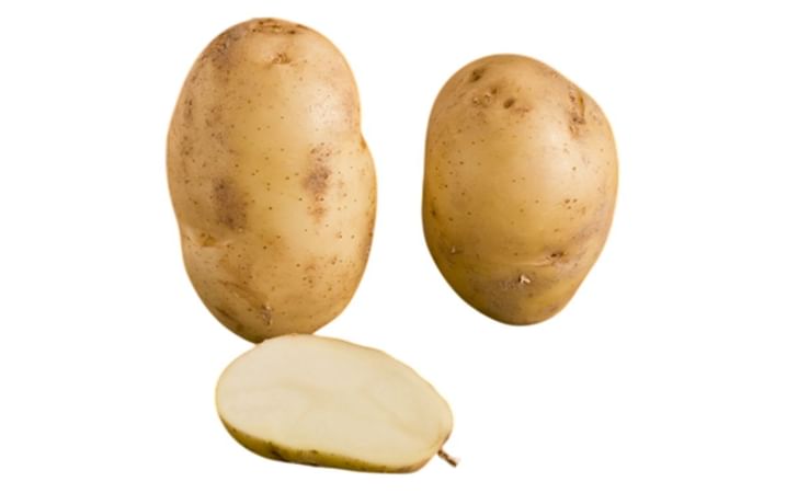 INTERNATIONAL KIDNEY INTERNATIONAL KIDNEY