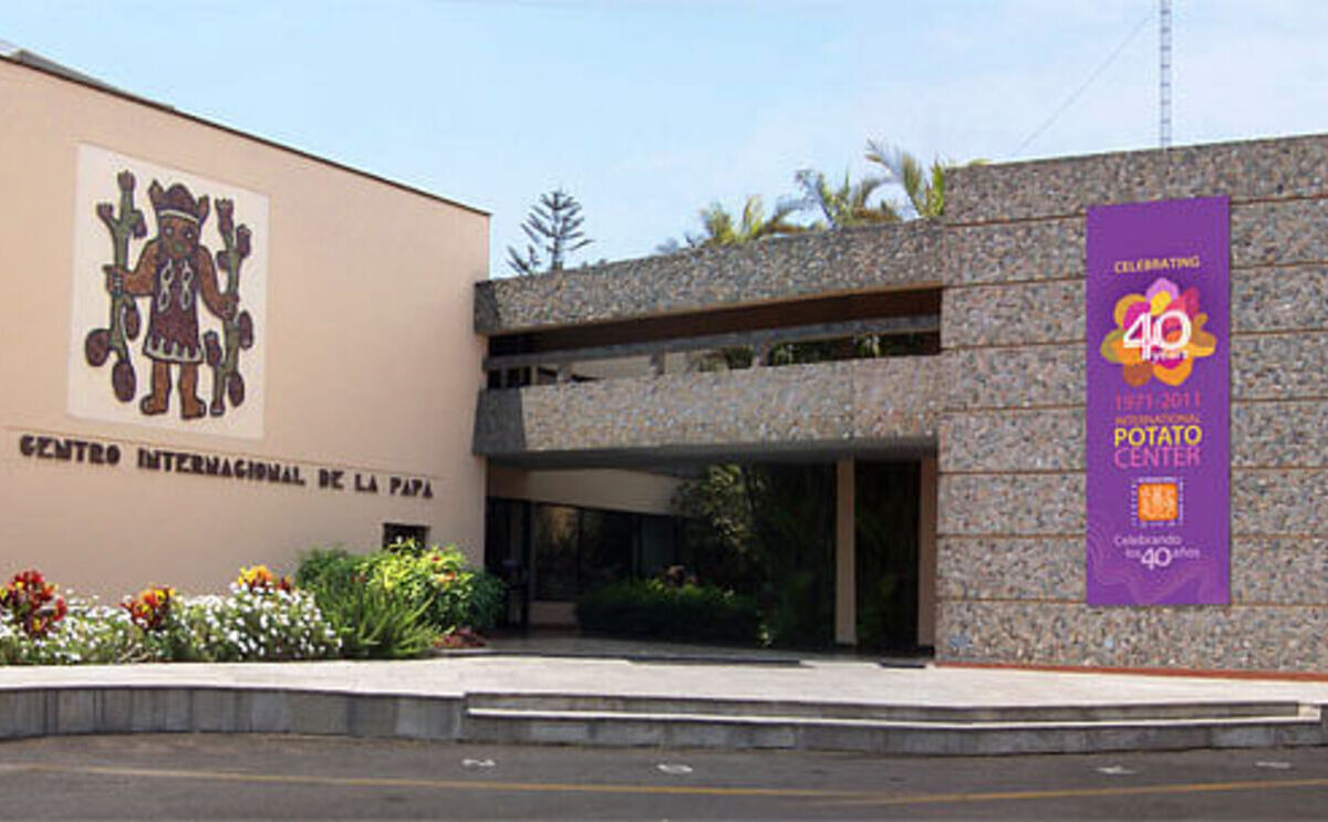 CIPe IICA trabajarán en Centroamerica para contribuir al incremento de la disponibilidad y acceso a los alimentos CIPe IICA trabajarán en Centroamerica para contribuir al incremento de la disponibilidad y acceso a los alimentos