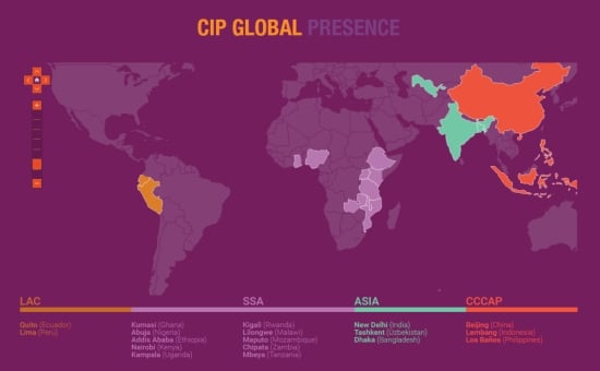 Global presence of the International Potato Center (CIP) International Potato Center Global Presence