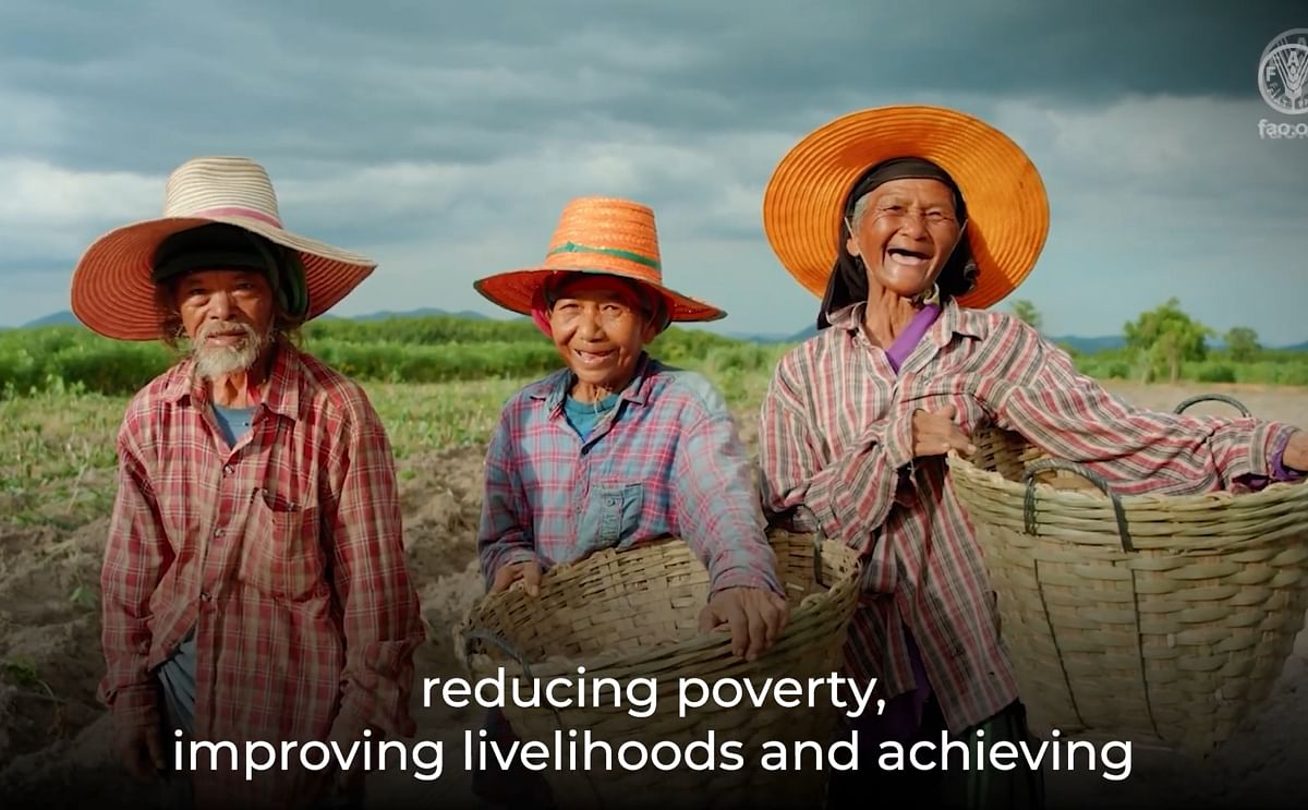 International Day of Potato 2025
