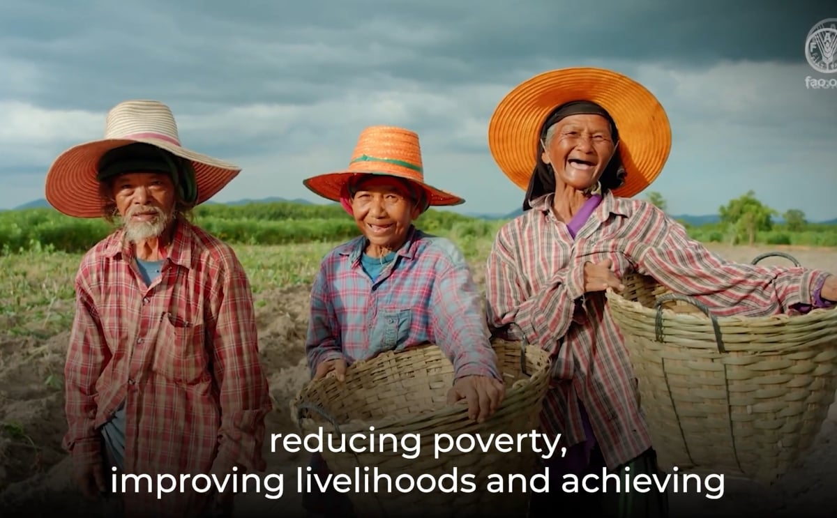 International Day of Potato 2025 International Day of Potato 2025