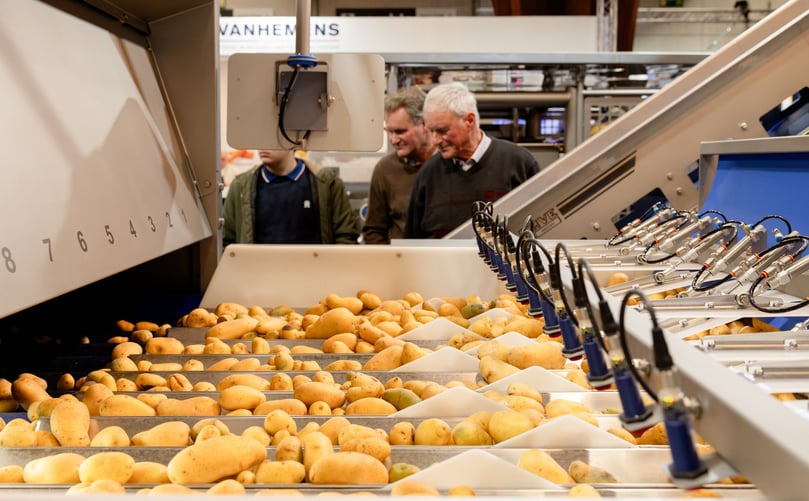 Potato sorting and grading technology on display during INTERPOM 2024, showcasing solutions for potato handling and processing Potato sorting and grading technology on display during INTERPOM 2024, showcasing solutions for potato handling and processing