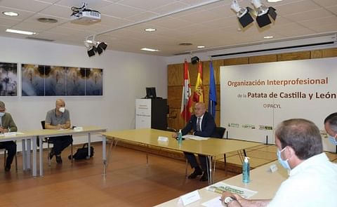 Nace la Interprofesional de la patata de Castilla y León Nace la Interprofesional de la patata de Castilla y León