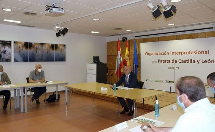 Nace la Interprofesional de la patata de Castilla y León