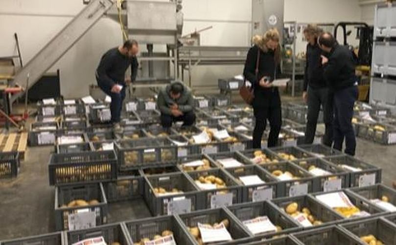 Intersur produce y comercializa en España y Francia más de 100.000 toneladas de patatas nuevas Intersur produce y comercializa en España y Francia más de 100.000 toneladas de patatas nuevas