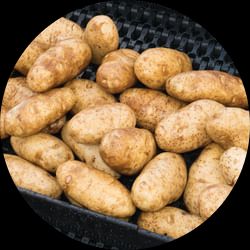 Series 1750 Flush Grid Belt