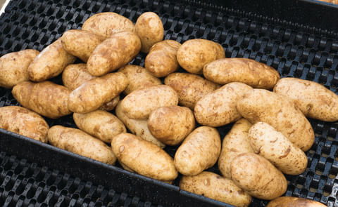 Intralox Series 1750 Flush Grid Belt Intralox Series 1750 Flush Grid Belt