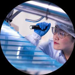 FMC Conveyor Program