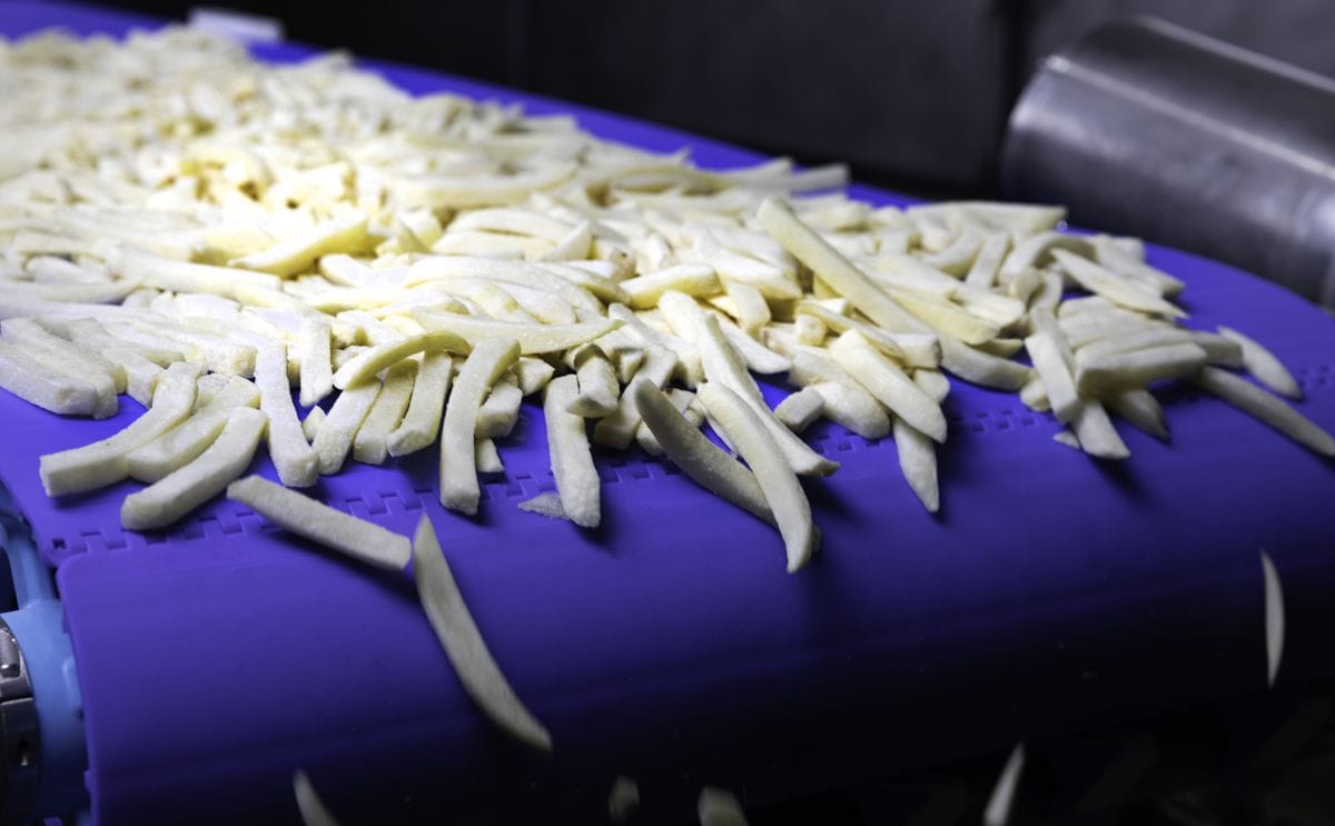 Intralox FoodSafe System | PotatoPro