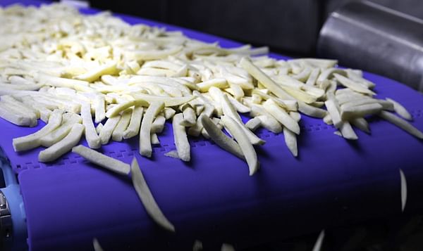 Intralox FoodSafe System Intralox FoodSafe System