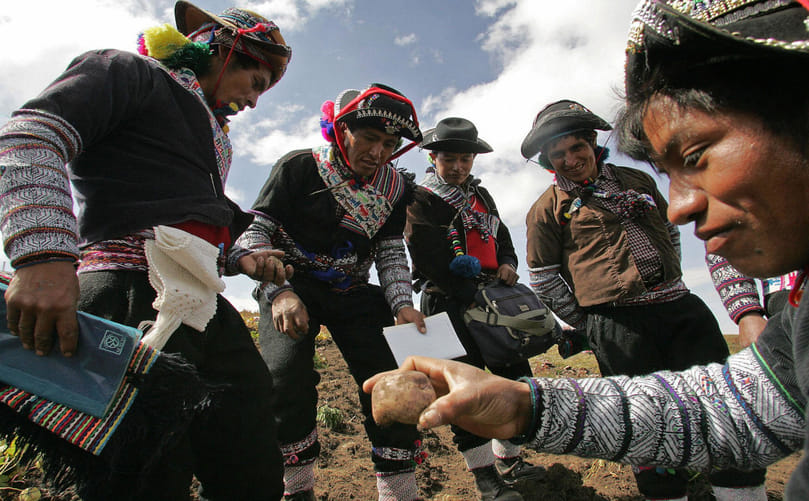 From Viracocha to Axomamma: Mythical Origins of the Potato in Andean Culture