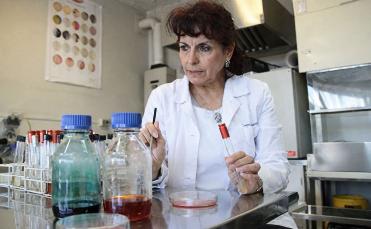 Dra. Laura Almendares, Universidad de Santiago de Chile