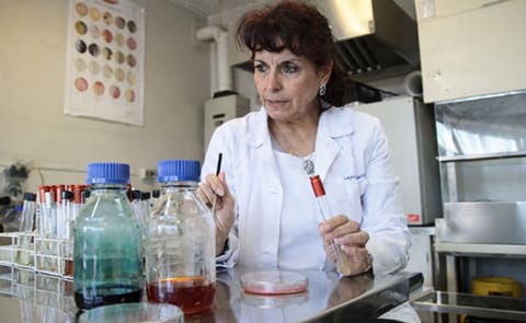 Dra. Laura Almendares, Universidad de Santiago de Chile Dra. Laura Almendares, Universidad de Santiago de Chile