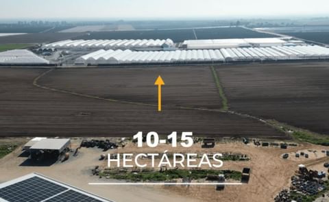 Invernaderos para el cultivo de patata de Contagri en Azanalcázar (Sevilla) Invernaderos para el cultivo de patata de Contagri en Azanalcázar (Sevilla)