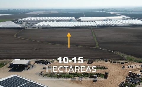 Invernaderos para el cultivo de patata de Contagri en Azanalcázar (Sevilla) Invernaderos para el cultivo de patata de Contagri en Azanalcázar (Sevilla)