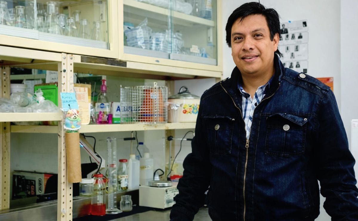 Instituto mexicano diseña inoculantes bacterianos para estimular crecimiento de la papa Instituto mexicano diseña inoculantes bacterianos para estimular crecimiento de la papa