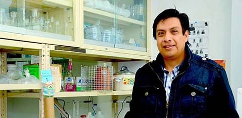 Instituto mexicano diseña inoculantes bacterianos para estimular crecimiento de la papa