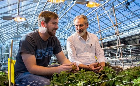 Parker Laimbeer (izq.) y Richard Veilleux Parker Laimbeer (izq.) y Richard Veilleux