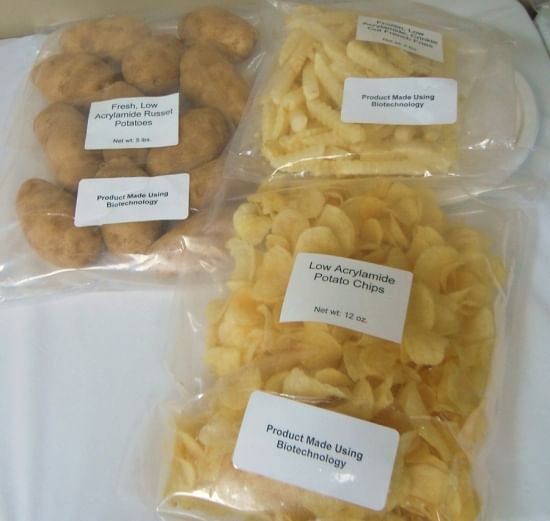An ISU economist found consumers who participated in a recent study were willing to spend more for potato items, like those pictured, produced using biotechnology to reduce the formation of acrylamide. (Courtesy: Wallace Huffman)