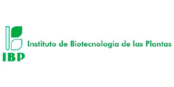 Institute of Plant Biotechnology (IBP)