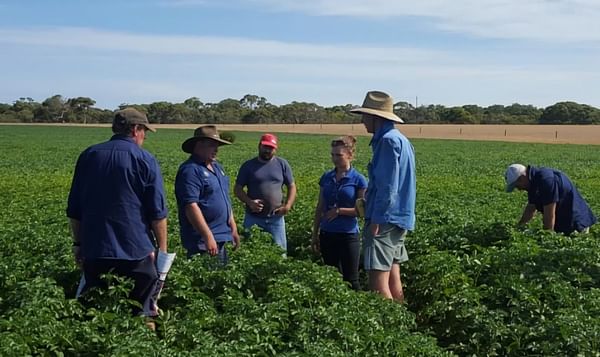 IPM approach seed potato growers Kangaroo Island hops to mainland Australia