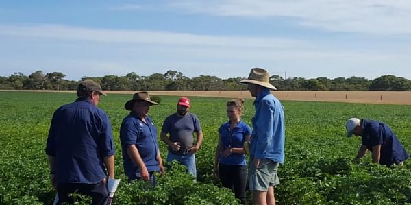 IPM approach seed potato growers Kangaroo Island hops to mainland Australia