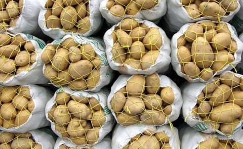 Packed Potatoes (Courtesy: Iran Potato) Packed Potatoes (Courtesy: Iran Potato)
