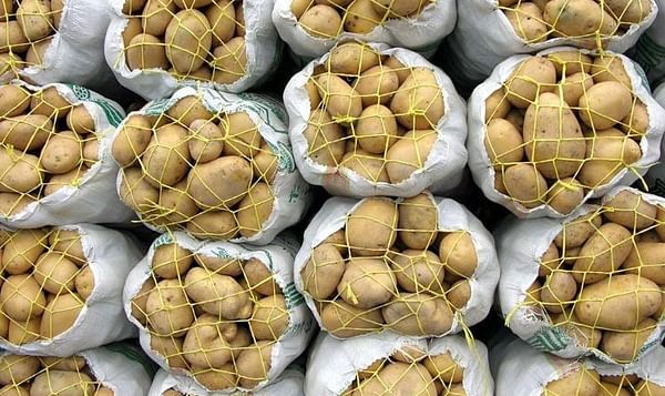 Iran exported more potatoes last year