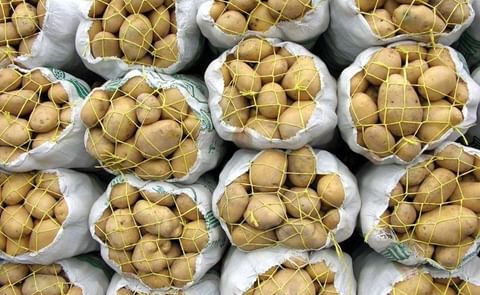 Packed Potatoes (Courtesy: Iran Potato) Packed Potatoes (Courtesy: Iran Potato)