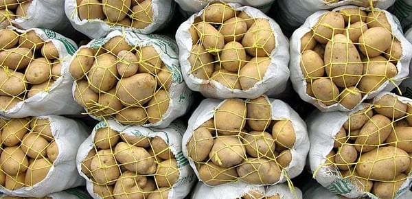 Iran exported more potatoes last year