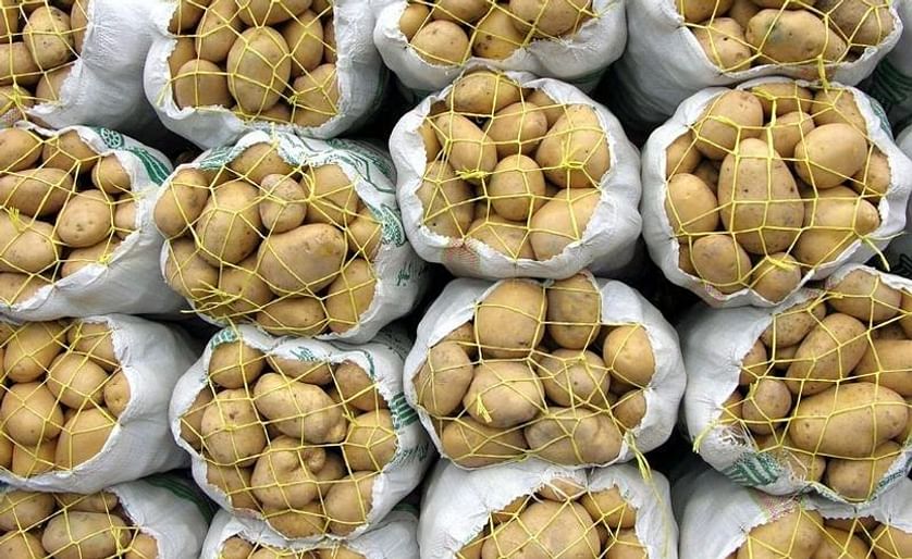 Packed Potatoes (Courtesy: Iran Potato)