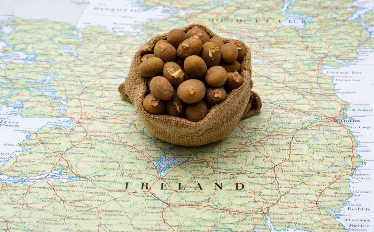 A million Irish died during the great famine in the country in the 1840s. The same number emigrated to the USA or other countries. The culprit was potato blight, which still plagues potato farmers today.