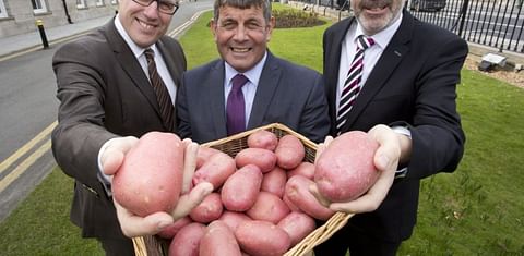 Only two years to go until the 11th World Potato Congress in Ireland