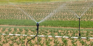 Irrigation Irrigation