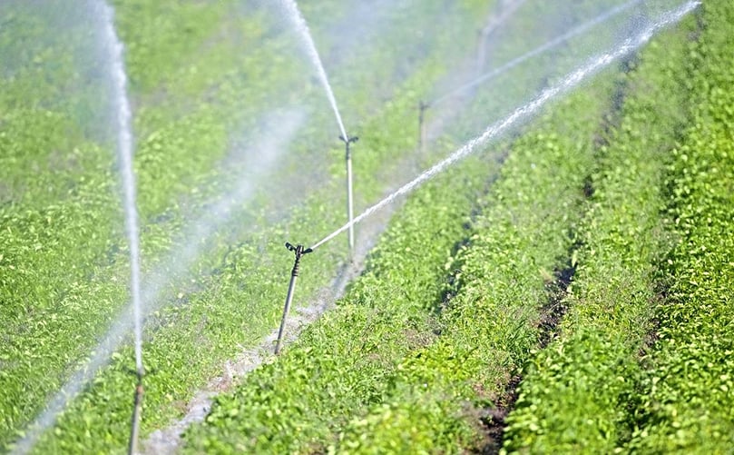 Efficient Irrigation Boosting Potato Growth in the Field Efficient Irrigation Boosting Potato Growth in the Field