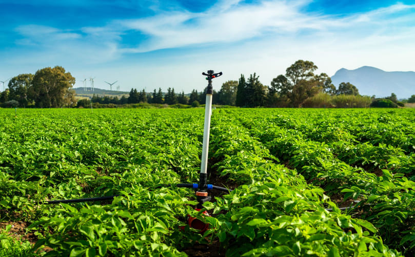 Sprinkler Irrigation Systems in Potato Farming