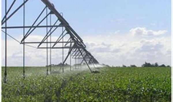 South Australian potato growers fighting government on water allocations
