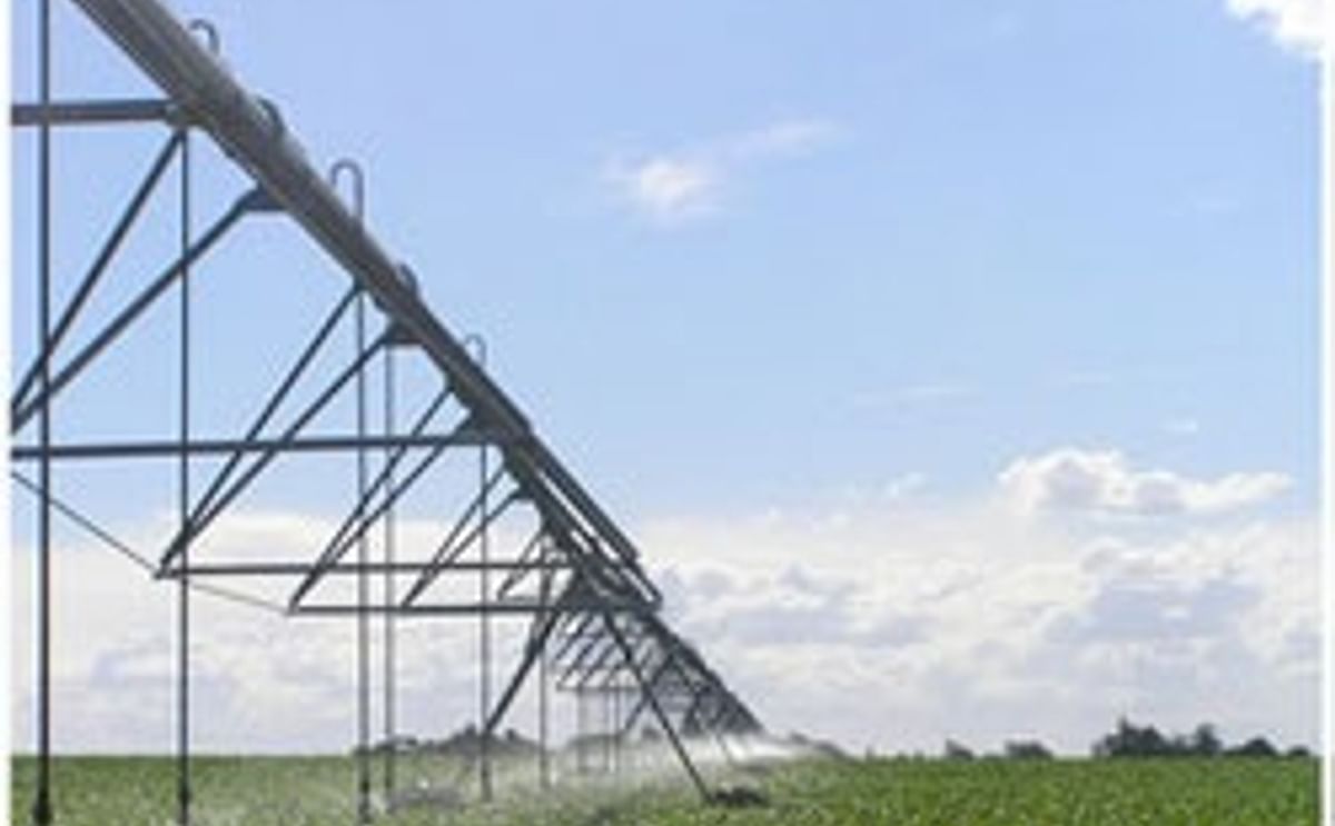South Australian potato growers fighting government on water allocations South Australian potato growers fighting government on water allocations