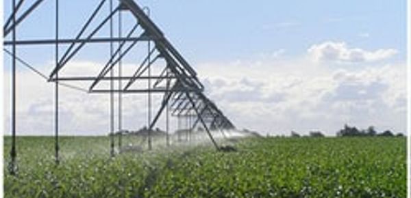 South Australian potato growers fighting government on water allocations