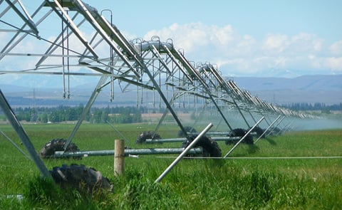 Potato Growers of Alberta and Processors finance new research Chair at University of Lethbridge Potato Growers of Alberta and Processors finance new research Chair at University of Lethbridge
