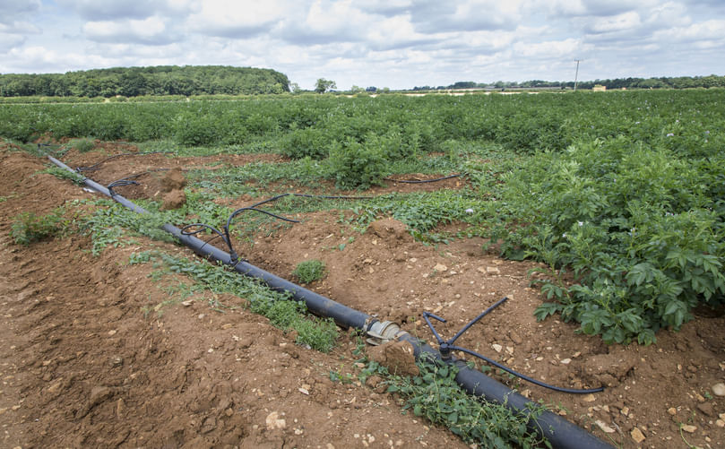 Drip Irrigation