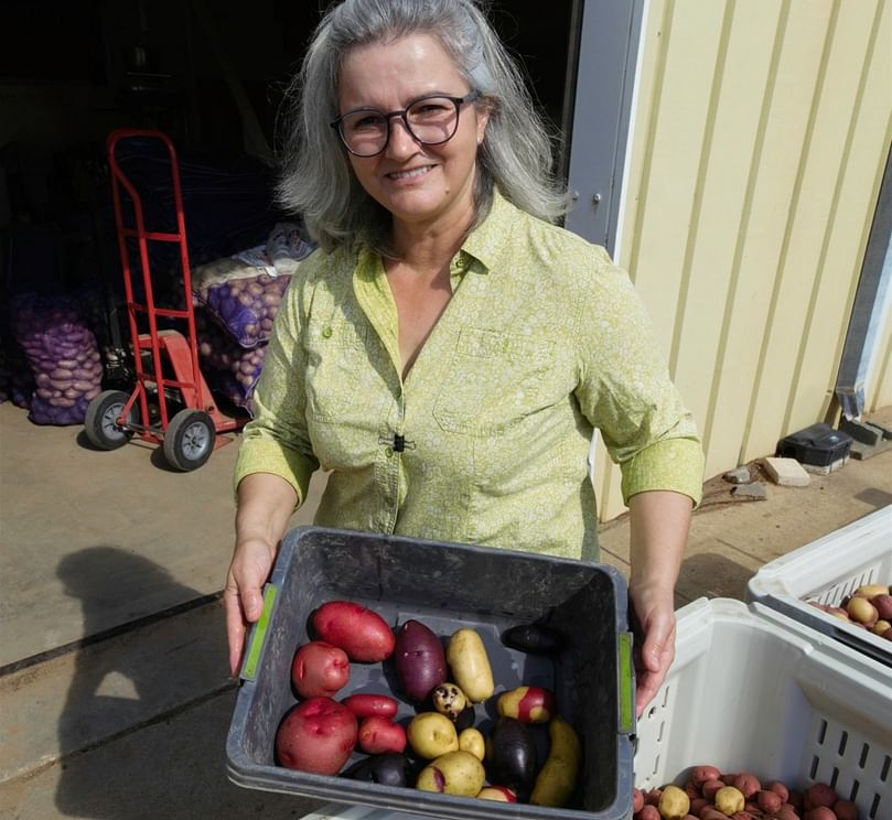 Isabel Vales, Ph.D., Texas A&M AgriLife Research potato breeder, shows off the variety of potatoes being bred by the Texas A&M Potato Breeding Program. (Courtesy: Texas A&M AgriLife)