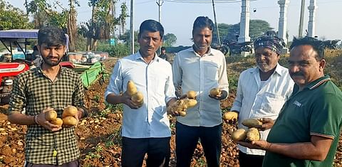 Iscon Balaji Foods' Sustainable Potato Farm Revolution: Transforming Lives, Securing Futures