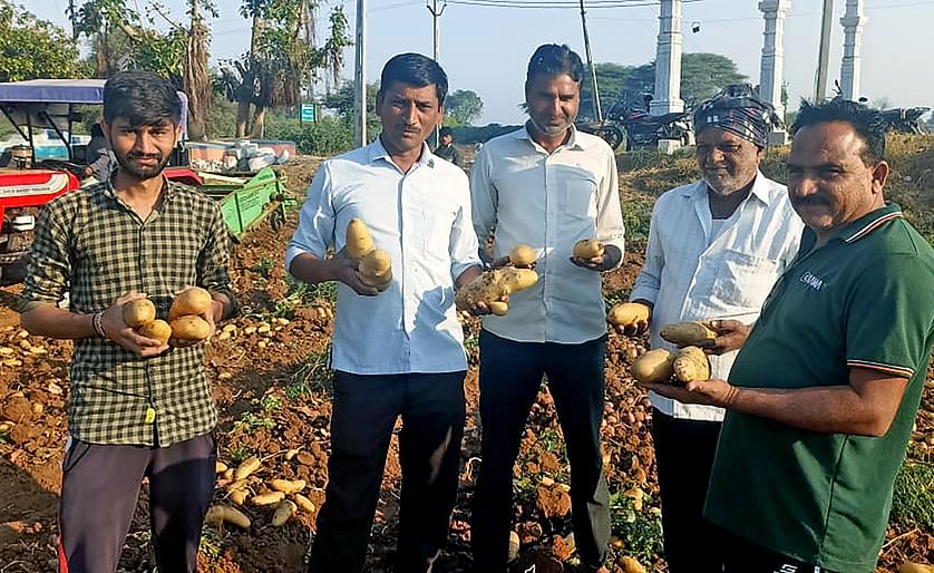 Iscon Balaji Foods' Sustainable Potato Farm Revolution: Transforming Lives, Securing Futures