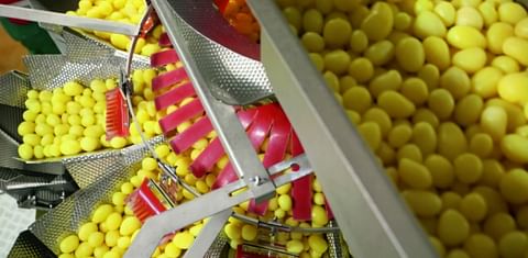 Ishida multihead weigher provides gentle solution for potatoes