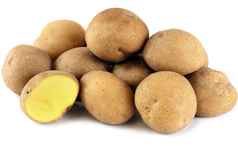 ISLAND SUNSHINE ISLAND SUNSHINE