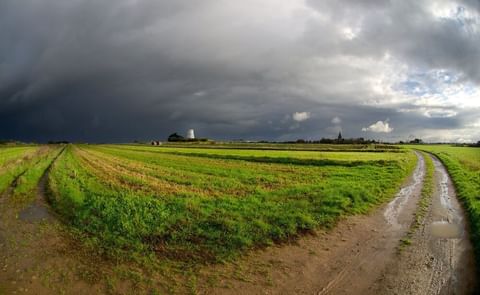 Islanders (Jersey) have grown used to seeing dark skies and saturated fields. Islanders (Jersey) have grown used to seeing dark skies and saturated fields.